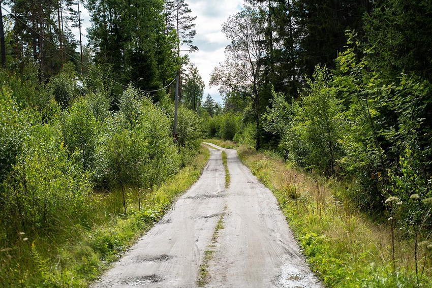Bilde av en vei i skogen